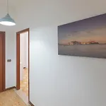 Vakantiehuis Casetta Sul Mare - Helloelba Portoferraio
